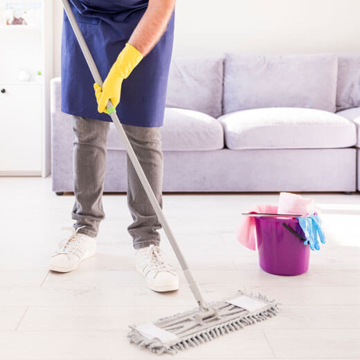 Carpet Sofa Cleaning